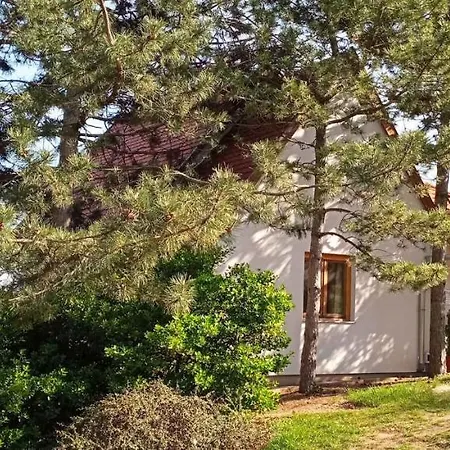 In - Velence-see 43968 Holiday home Pakozd
